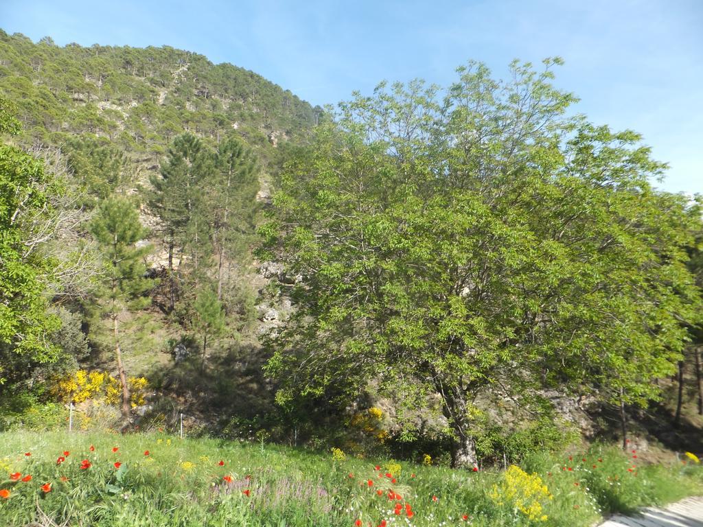 Affittacamere La Limonera Riópar Esterno foto